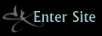 Click here to enter the site